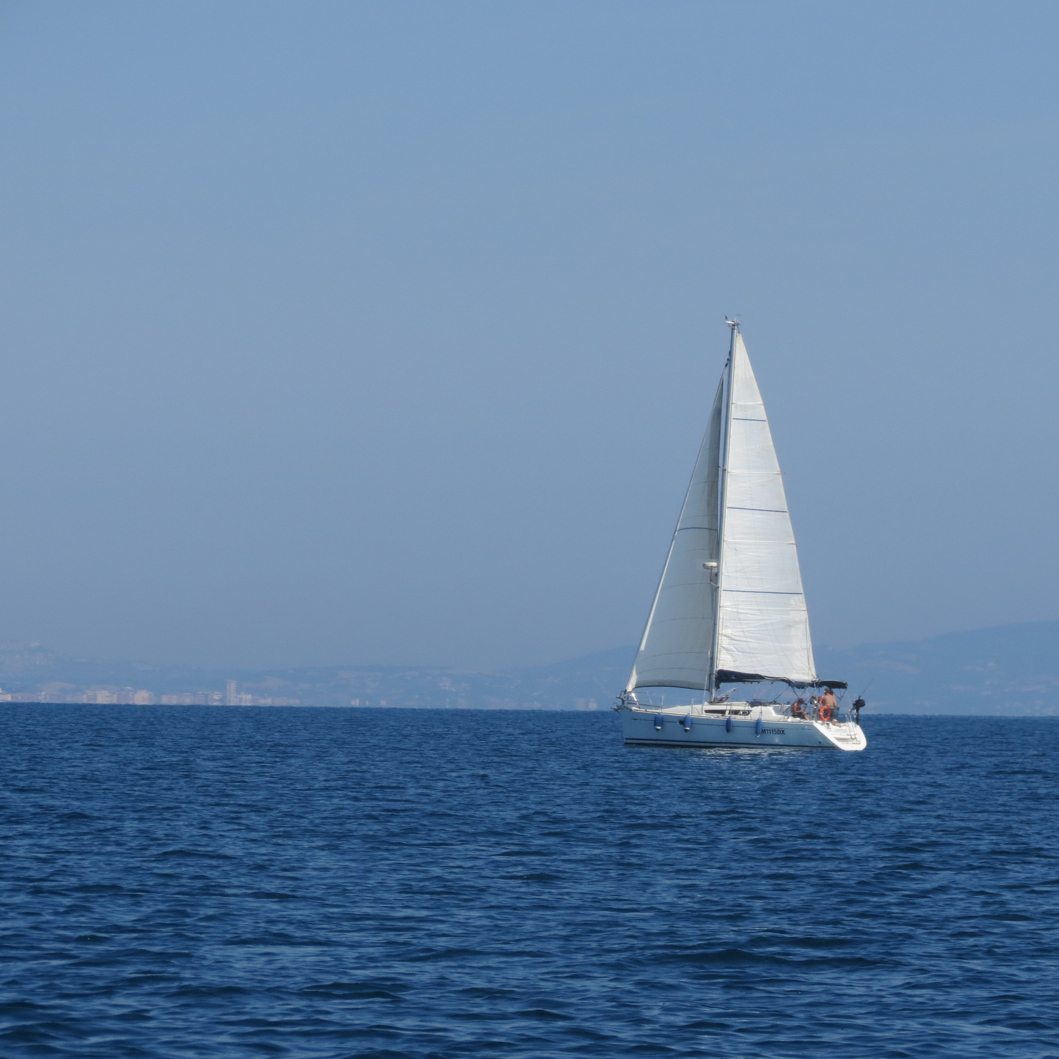 31.JPG